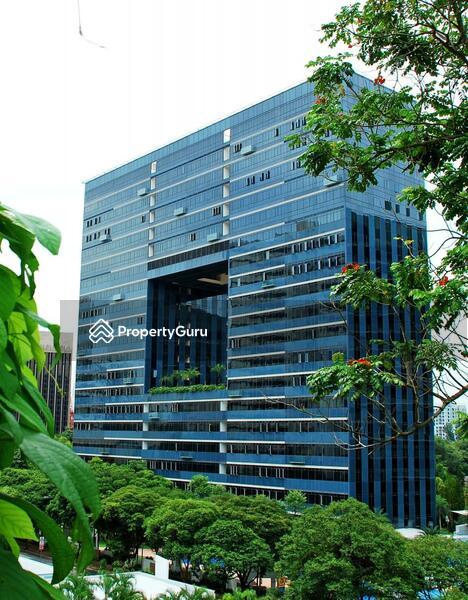 Condominium for Rent, Orchard Scotts, SGD 12,200 | 99-year lease