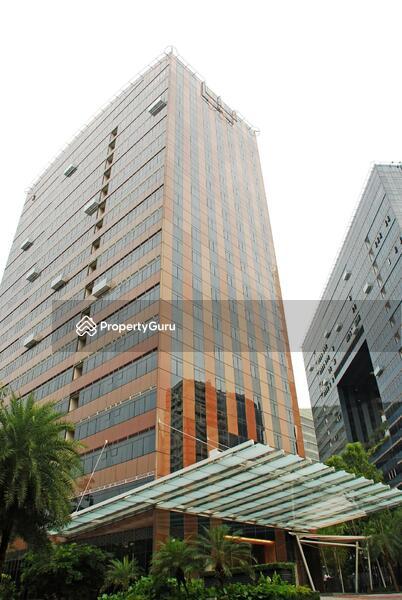 Condominium for Rent, Orchard Scotts, SGD 12,200 | 99-year lease