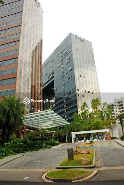 Condominium for Rent, Orchard Scotts, SGD 12,200 | 99-year lease