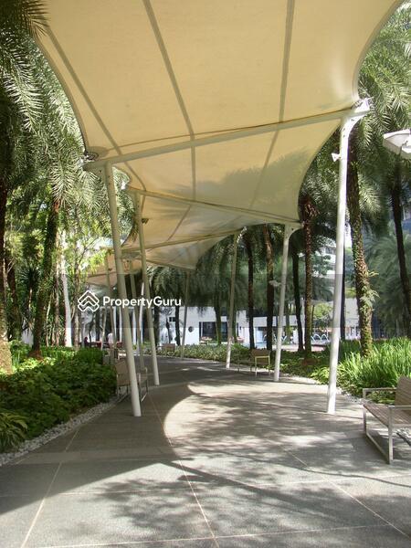 Condominium for Rent, Orchard Scotts, SGD 12,200 | 99-year lease