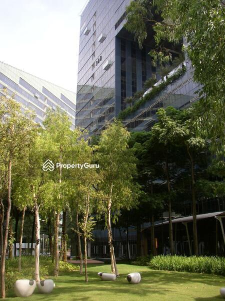 Condominium for Rent, Orchard Scotts, SGD 12,200 | 99-year lease