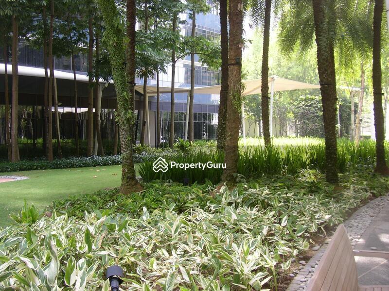 Condominium for Rent, Orchard Scotts, SGD 12,200 | 99-year lease