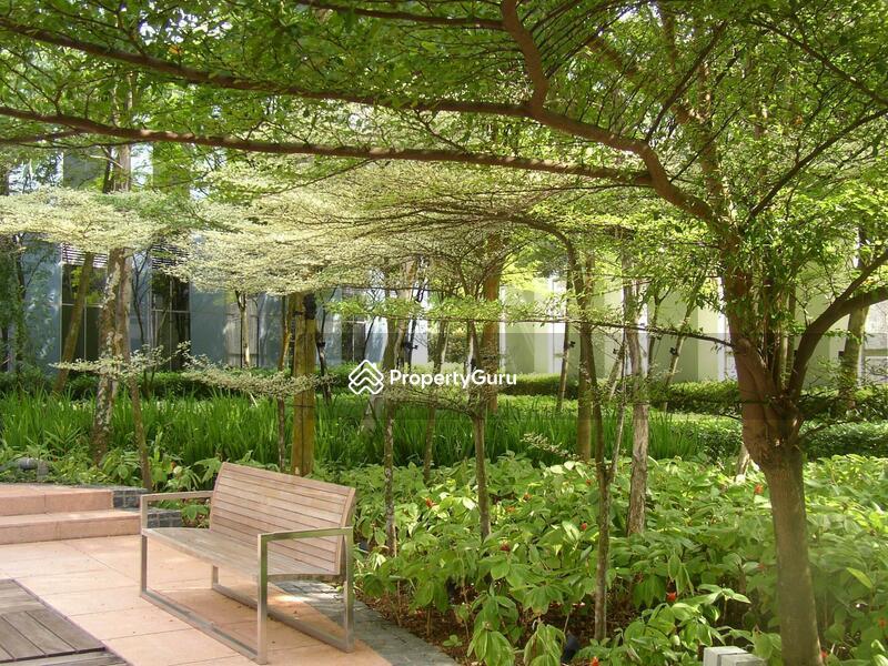 Condominium for Rent, Orchard Scotts, SGD 12,200 | 99-year lease