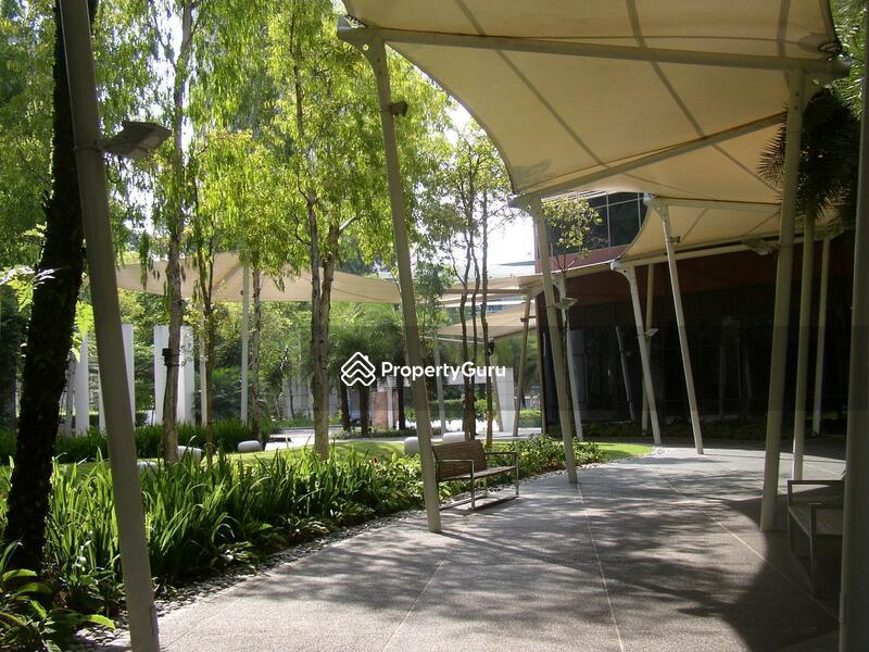 Condominium for Rent, Orchard Scotts, SGD 12,200 | 99-year lease