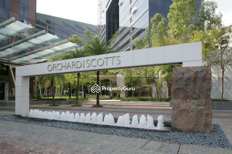 Condominium for Rent, Orchard Scotts, SGD 12,200 | 99-year lease