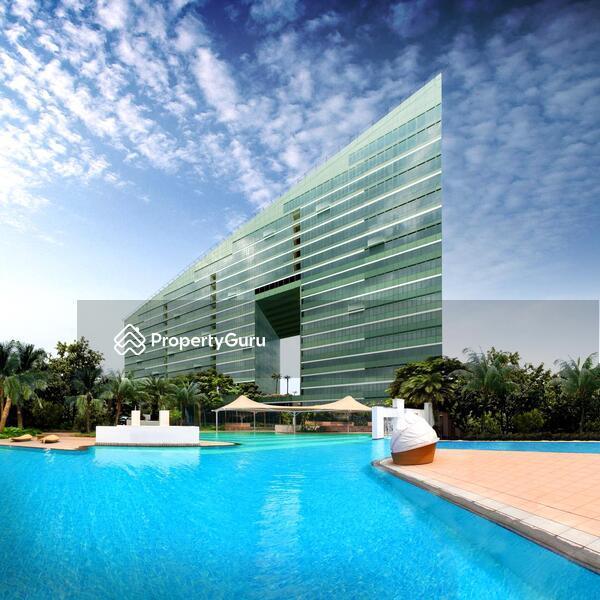 Condominium for Rent, Orchard Scotts, SGD 12,200 | 99-year lease