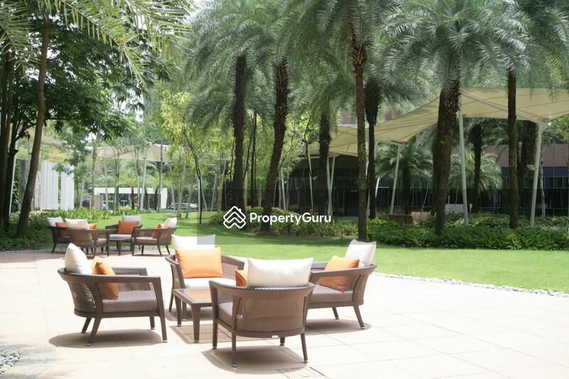 Condominium for Rent, Orchard Scotts, SGD 12,200 | 99-year lease