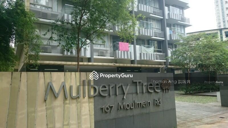 Apartment for Rent: D11, 308092