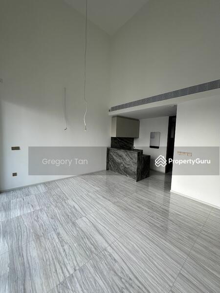 Condominium for Rent, Leedon Green, SGD 11,800 | Freehold
