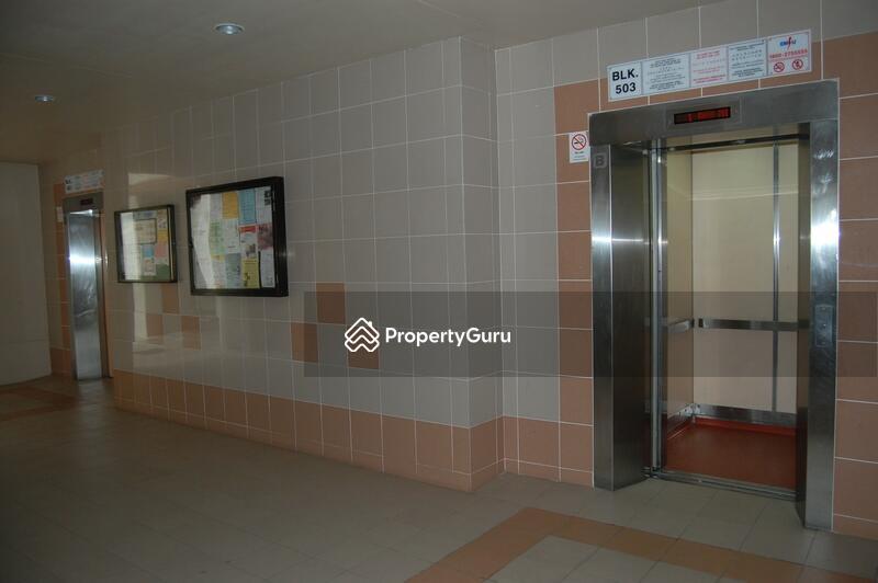HDB Flat for Rent: Pasir Ris, D18, 510503