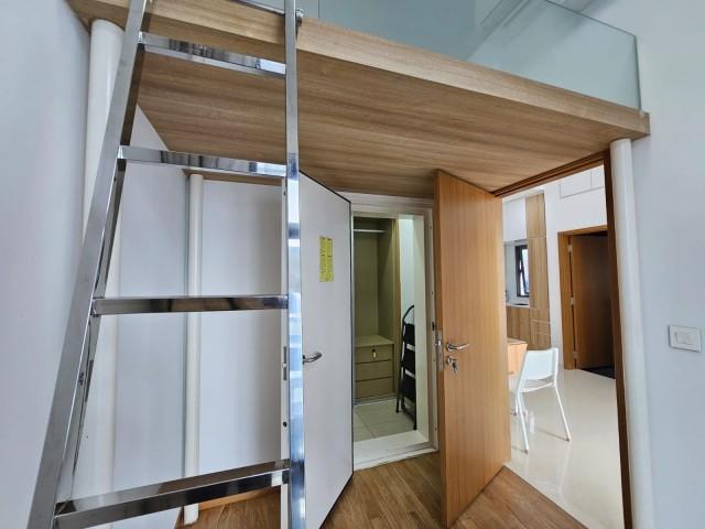 Spottiswoode Suites Condominium For Rent, $4,500, 2 Bed 1 Bath 538 sqft $8.36 psf