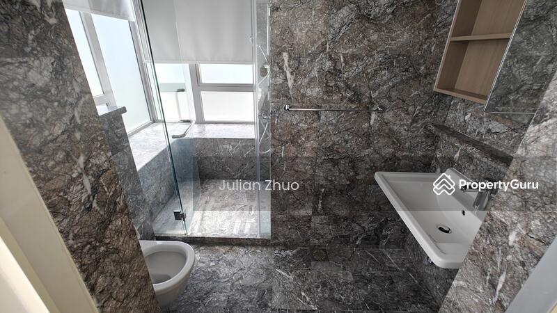 Condominium for Rent, Suites @ Cairnhill, SGD 10,000 | Freehold