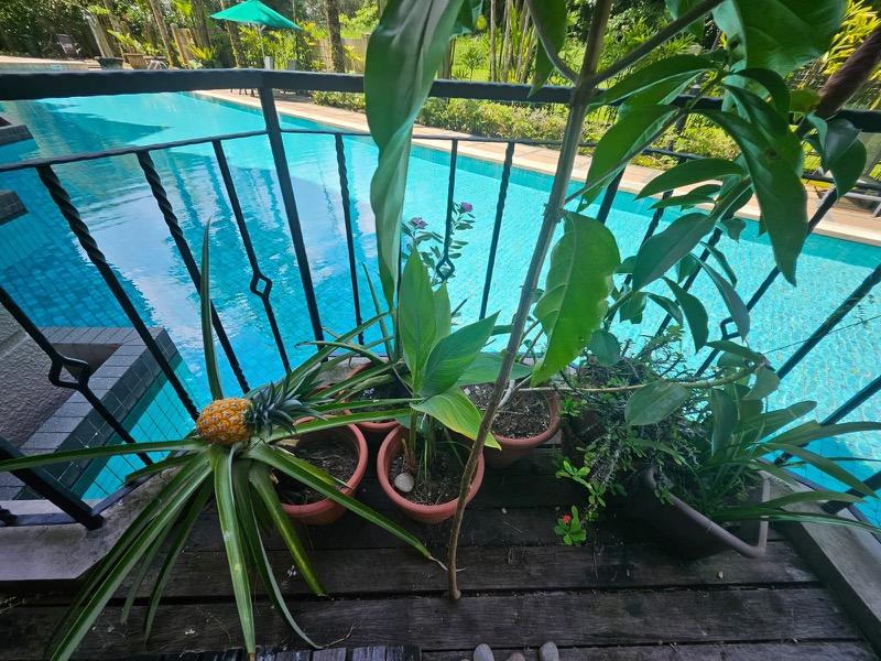 The Edgewater Condominium For Rent, $3,680, 2 Bed 2 Bath 980 sqft $3.76 psf