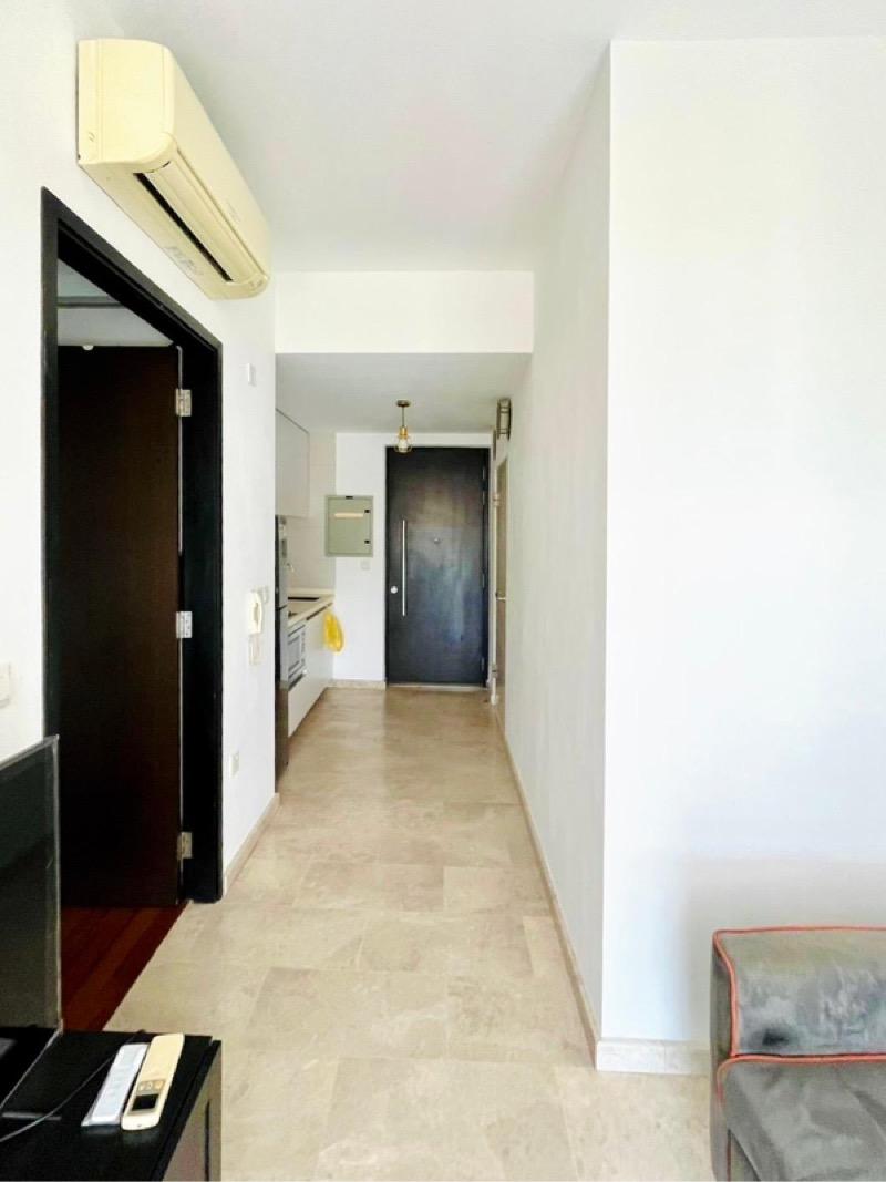 Condominium for Rent, Haig 162 Condominium For Rent, $3,100, 1 Bed 1 Bath 549 sqft $5.65 psf, SGD 3,100 | Freehold