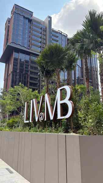 Prop-GPT: Condominium: D15  LIV @ MB