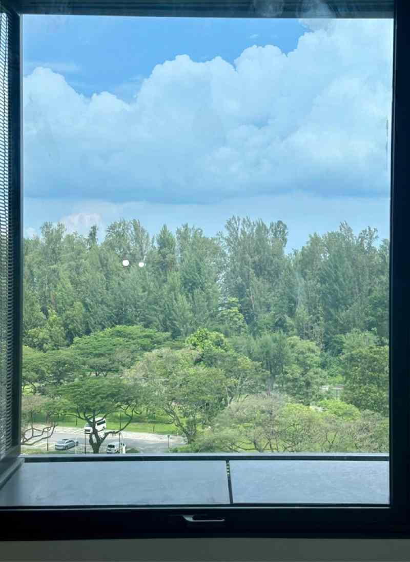 Meyer Mansion: D15 Amber Road Condominium | Prop-GPT the AI-Powered Property Guru