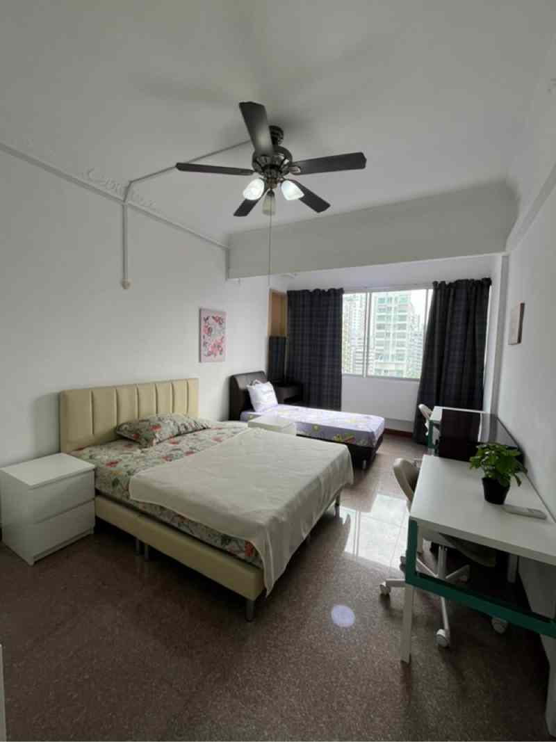 Balestier Plaza: D12 Balestier Apartment | Prop-GPT the AI-Powered Property Guru