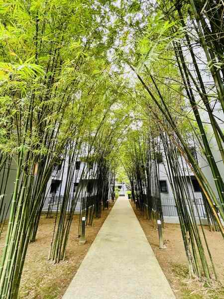 Prop-GPT: Executive Condominium: D27 Yishun The Visionaire