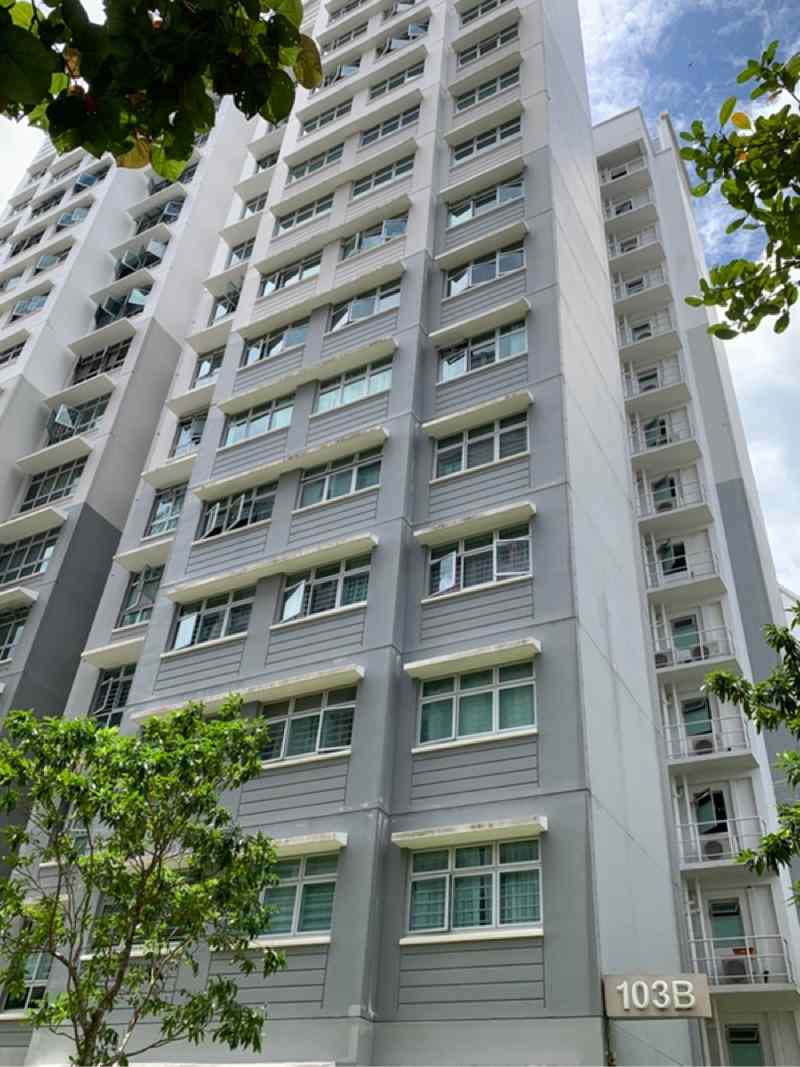 Prop-GPT: HDB Apartment: D27  103B Canberra Street